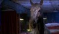 dr dolittle 3-avi_840.jpg